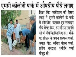 World Plantation Day