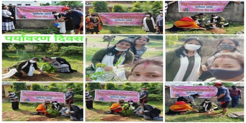 World Plantation Day