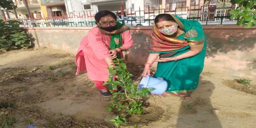 World Plantation Day