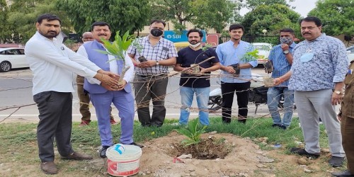 World Plantation Day