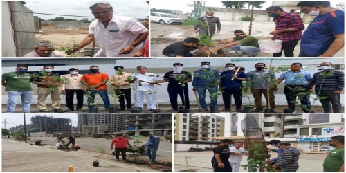 World Plantation Day