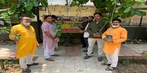 World Plantation Day